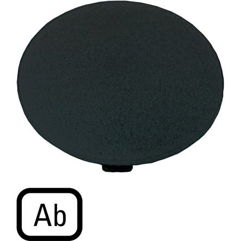 Eaton Button Plate for Use with Push Button, Pre-printed "Individual inscription possible: 5 characters: letter height 5