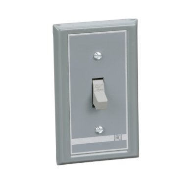 Switch, manual, 30A, 2 pole, 3HP at 575VAC, single phase, toggle operated, no indicator, NEMA 1 flush mount (Switch manual) is a Schneider Electric product. Designed for reliable performance and long service life. Available across Iraq — contact us for pricing and delivery options.