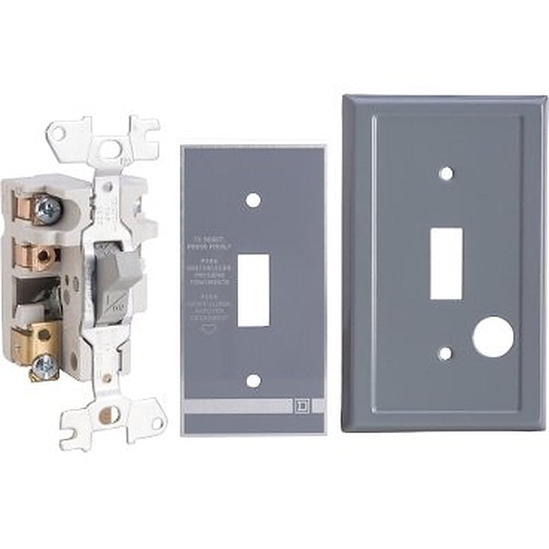 Manual starter, fractional horsepower, 16A, 2 poles, 1HP at 277VAC, toggle operated, no indicator, NEMA 1 flush mount (Manual starter fractional horsepower) is a Schneider Electric product. Designed for reliable performance and long service life. Available across Iraq — contact us for pricing and delivery options.