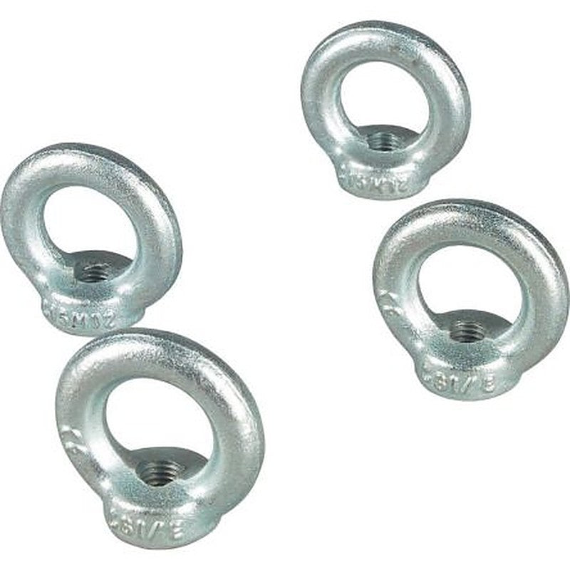 Eaton xEnergy Basic Series Metal Lifting Eyes Bolt for Use with LV System 36 mm x 8 mm x 36mm