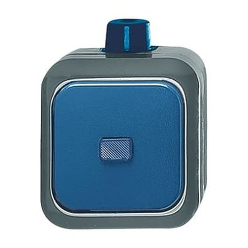 ABB Blue, 2 Way Rocker, 2CK