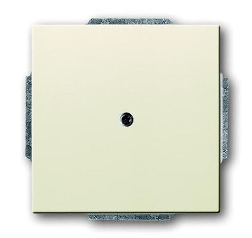 ABB 2CKA Series, Cover Plate Flush