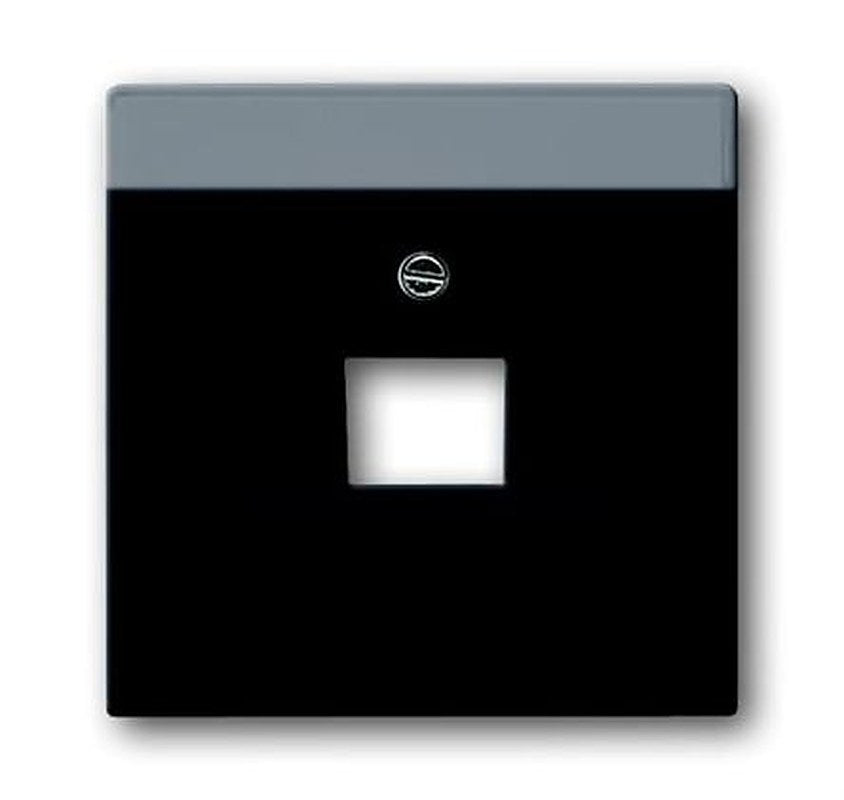 ABB 2CKA Series, RJ45 Cover Plate Flush