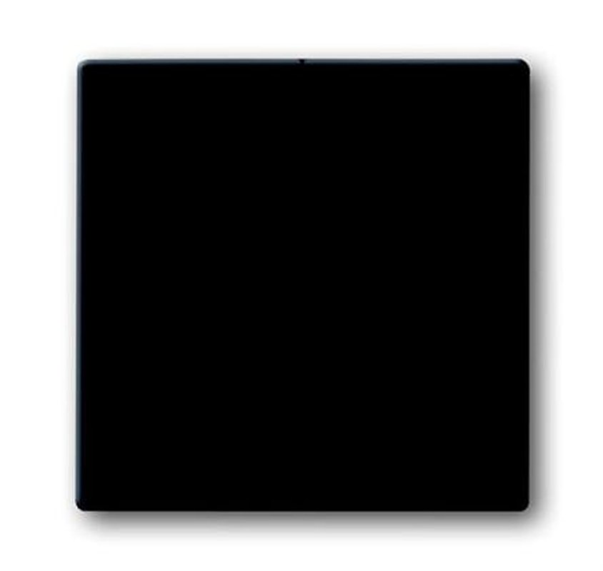 ABB Black 2 Gang Light Switch Cover