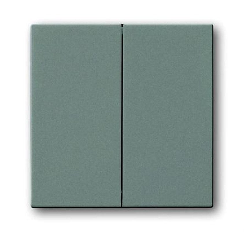 ABB Grey 2 Gang Light Switch Cover