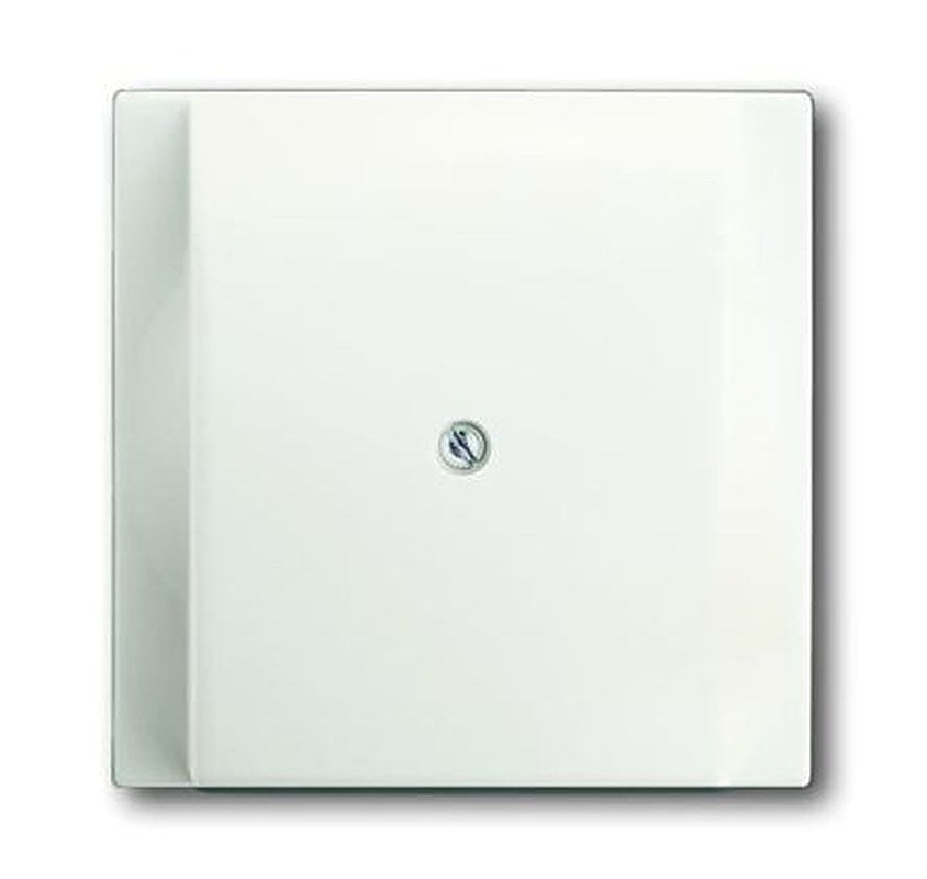 ABB White 1 Gang Plastic Outlet Plate