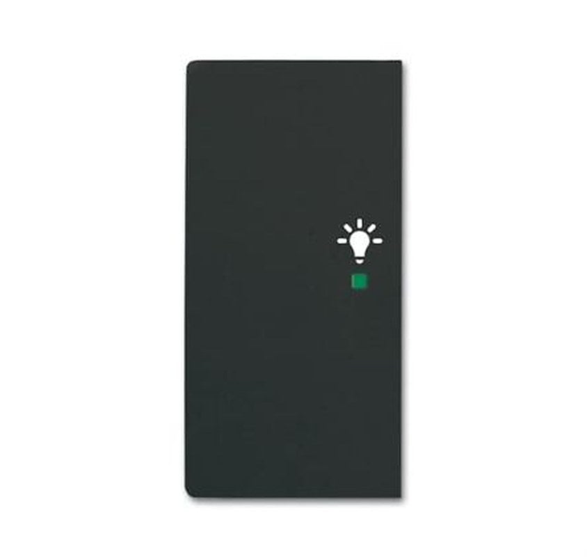 ABB Black 2 Gang Light Switch Cover