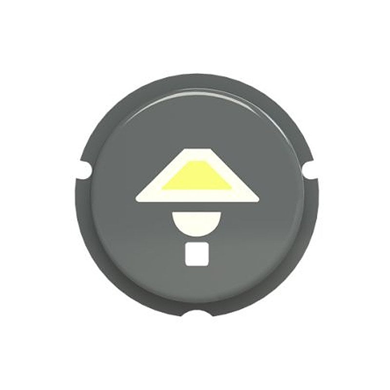 ABB Push Button Switch for Use with F@H Light, Pre-printed "Light Symbol