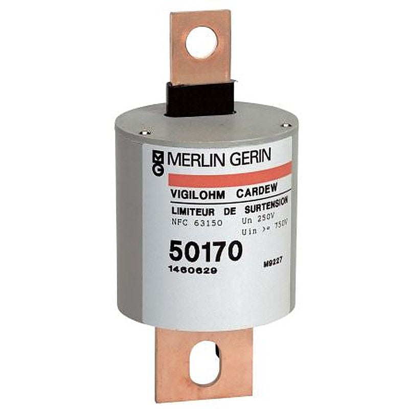 Schneider Electric Vigilohm Series Surge Protector for Use with Vigilohm Insulation Monitors