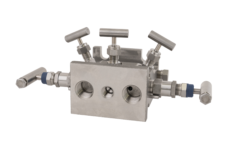 AGI Model M6TW/M6TWA/M66 Differential Pressure Manifolds