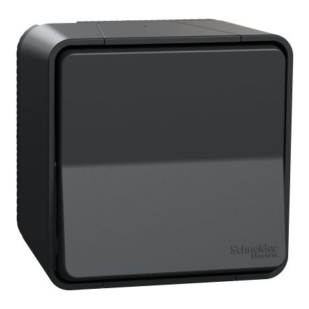 Schneider Electric Mureva Styl Series Light Switch, Silicone Polymer, Surface, IP55 250 V ac