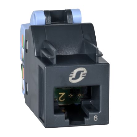 Schneider Electric Actassi Series RJ45 Connector Female, Cable, Cat6 U/UTP Shield Straight 1 Port 8 Way