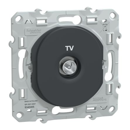Schneider Electric Male IEC 9.52 mm Anthracite Male 1 Outlet Socket, Flush