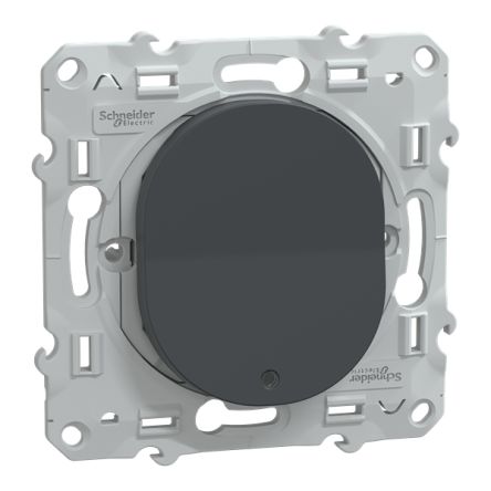 Schneider Electric Anthracite 10A Ovalis C Series