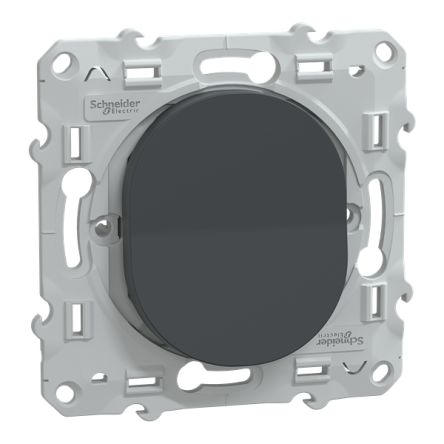 Schneider Electric 2 Way Anthracite 10A Ovalis C Series