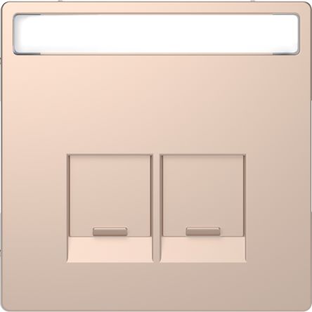 Schneider Electric Brown 2 Gang Cover Plate