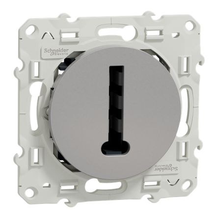 Schneider Electric Female Socket, Flush
