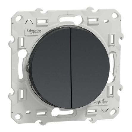 Schneider Electric Odace 2011 Series Illuminated Push Button Switch, IP21D 250 V ac