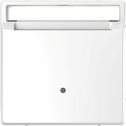 Schneider Electric White Cover Plate