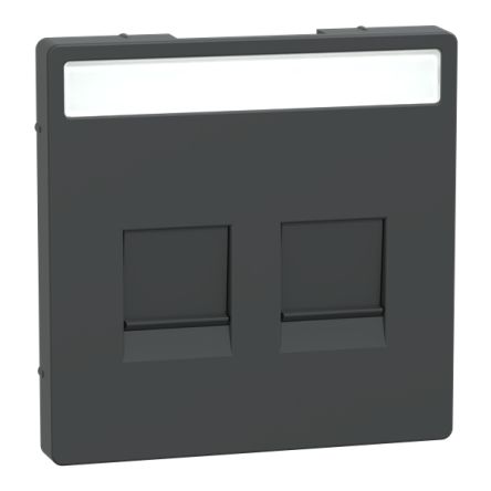Schneider Electric Anthracite 2 Gang Cover Plate