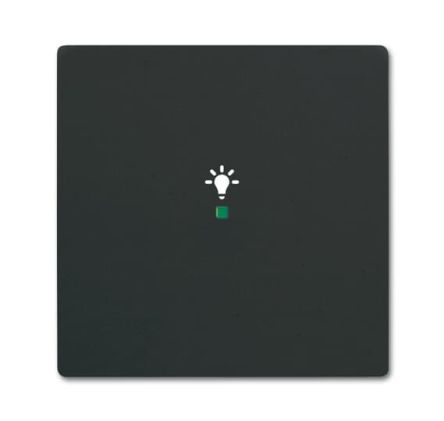 ABB Black 1 Gang Light Switch Cover