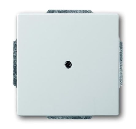 ABB 2CKA Series, Cover Plate Flush