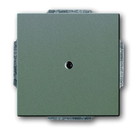 ABB 2CKA Series, Cover Plate Flush