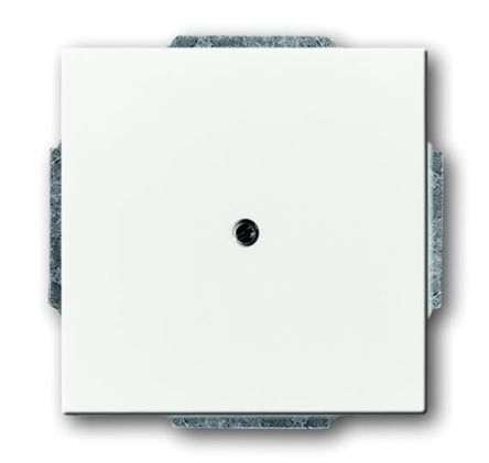 ABB 2CKA Series, Cover Plate Flush