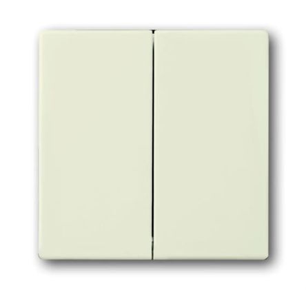 ABB White 2 Gang Light Switch Cover
