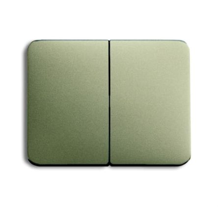 ABB Grey 2 Gang Light Switch Cover