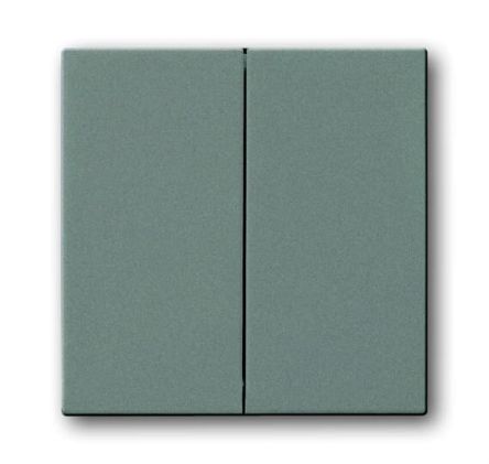 ABB Grey 2 Gang Light Switch Cover