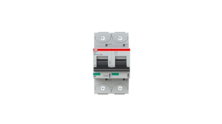 ABB S802 Circuit Breaker, 2-Pole, 10A, Type C, 690V ac AC, 250 V dc DC, 50 kA Breaking Capacity