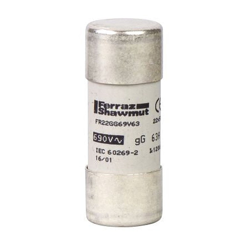 Schneider Electric 10A Cartridge Fuse, 22.2 x 58 mm