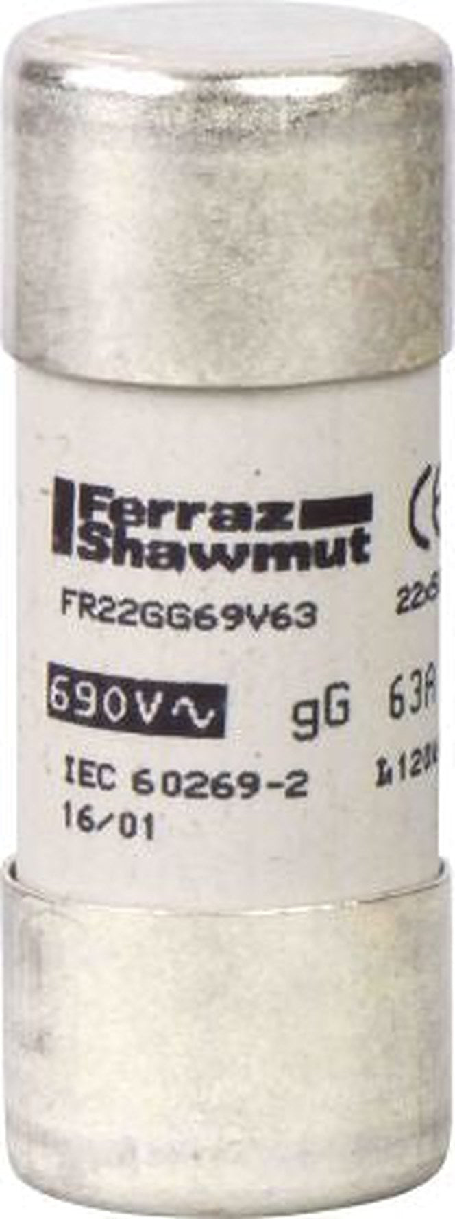 Schneider Electric 80A F Ceramic Cartridge Fuse, 22 x 58 mm