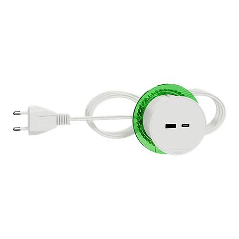 Schneider Electric 2 m 2 Socket USB Type C, USB Type A Extension Lead, 5V, IP20