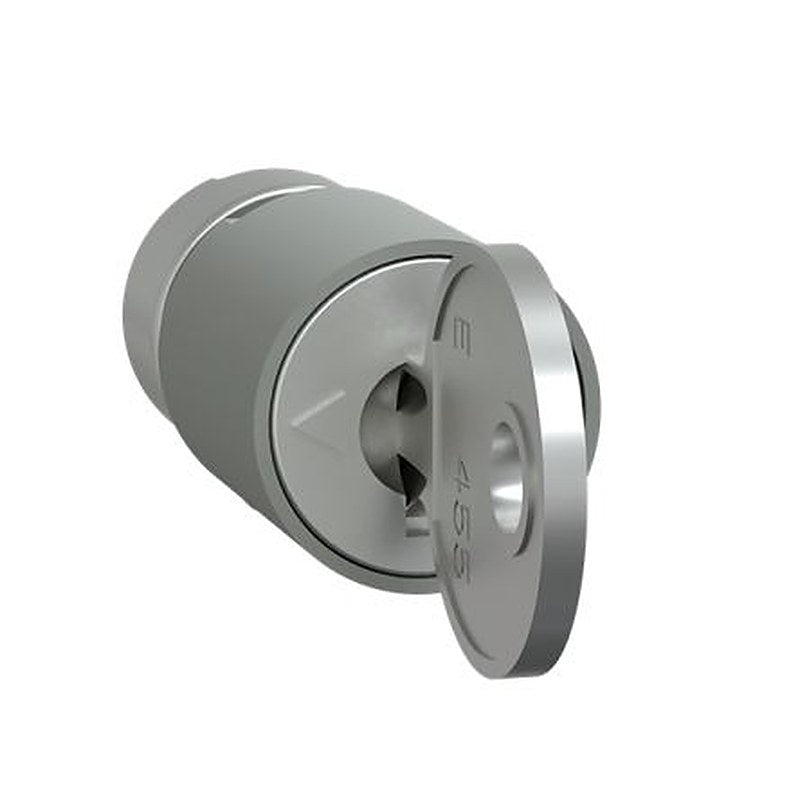 Schneider Electric PrismaSeT G Series Lock Barrel for Use with PrismaSeT P, PrismaSeT G Door