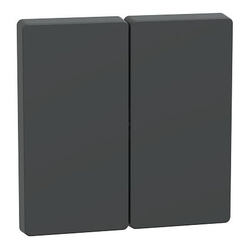 Schneider Electric Rocker Switch Flush