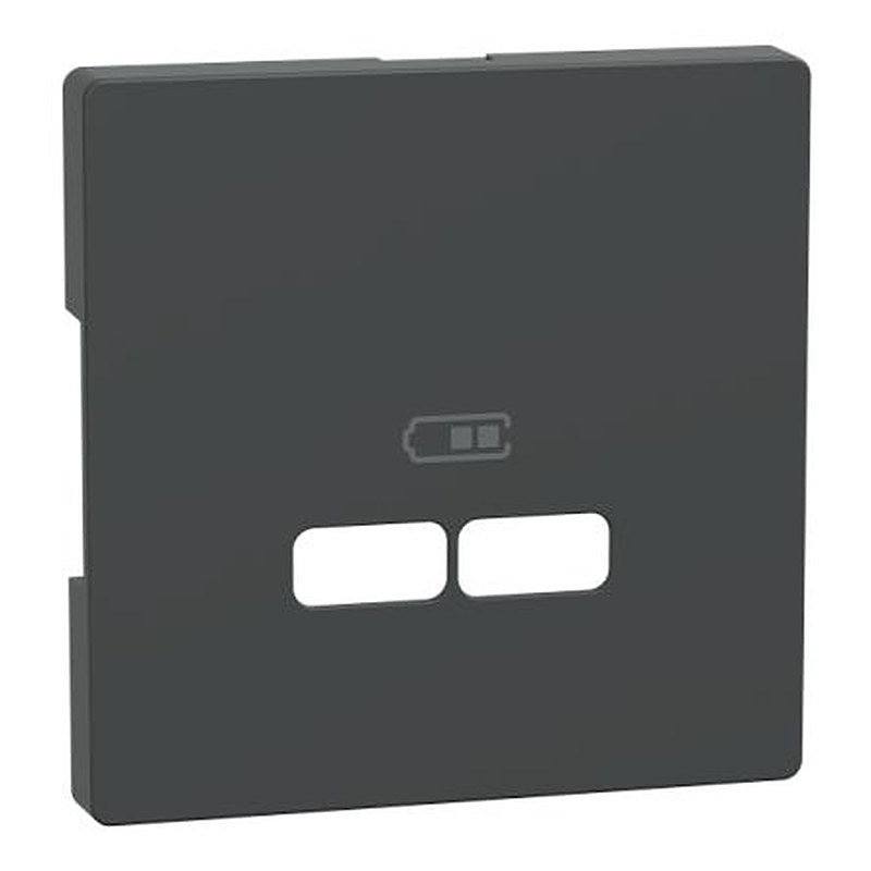 Schneider Electric Nickel 2 Gang Cover Plate