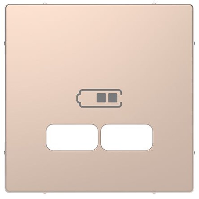 Schneider Electric White 2 Gang Cover Plate