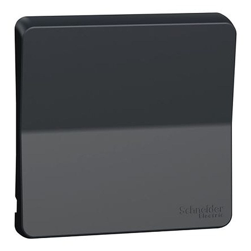 Schneider Electric Grey Rocker, Mureva Styl