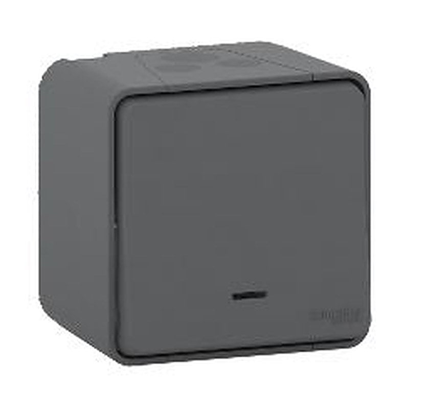 Schneider Electric Light Switch Surface