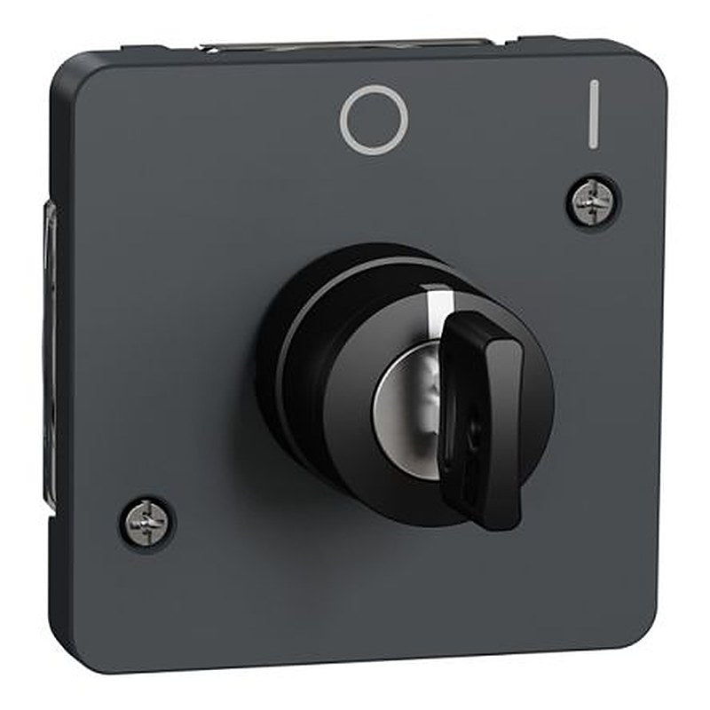Schneider Electric IP55 Key Switch, 1 NO, 3A 3-Way Straight-Key