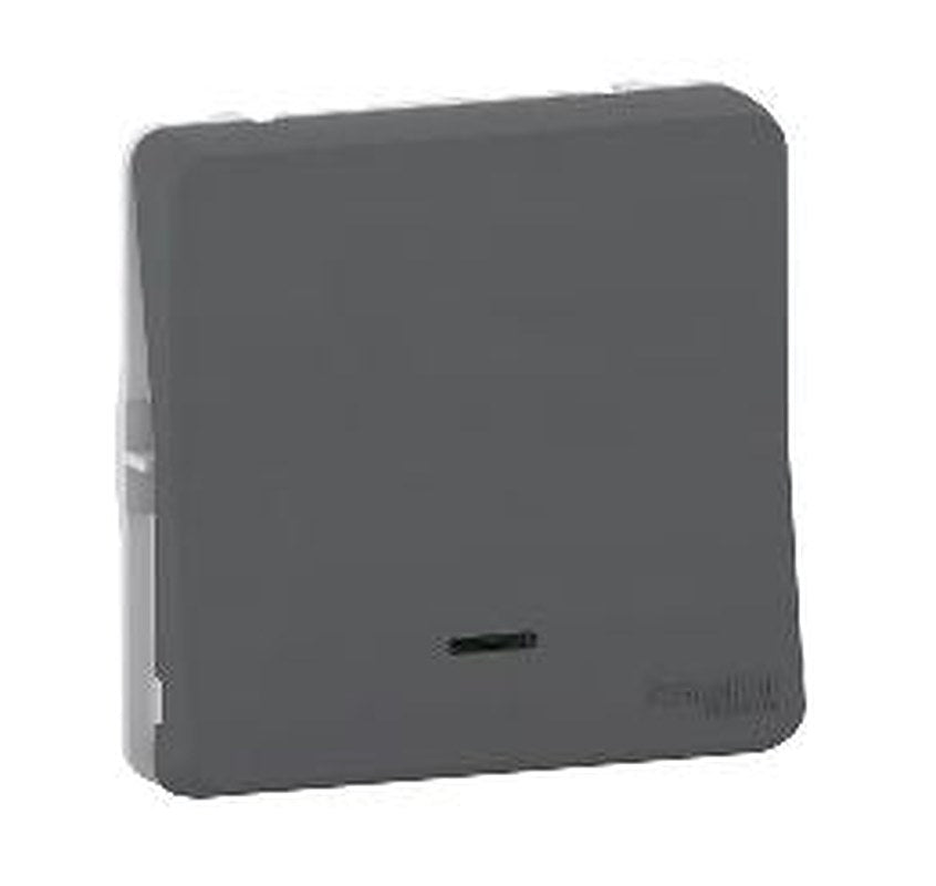 Schneider Electric Grey Push Button, 1 Gang, Mureva Styl