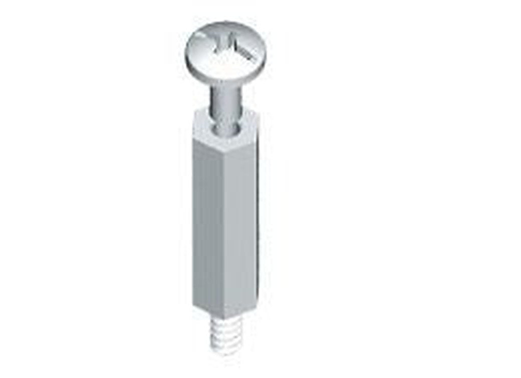 Schneider Electric Steel Self-Tapping Screw 10 mm
