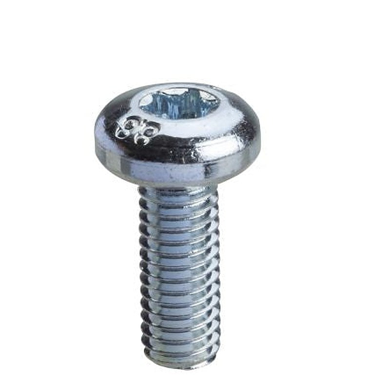 Schneider Electric Torx Machine Screw 16 mm M6