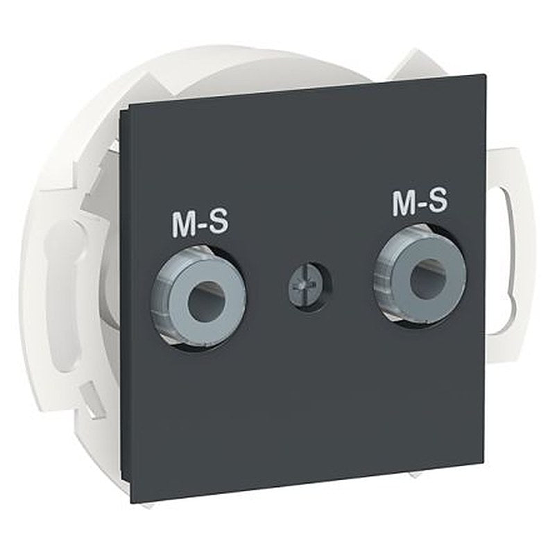 Schneider Electric F Anthracite Female 2 Outlet Socket