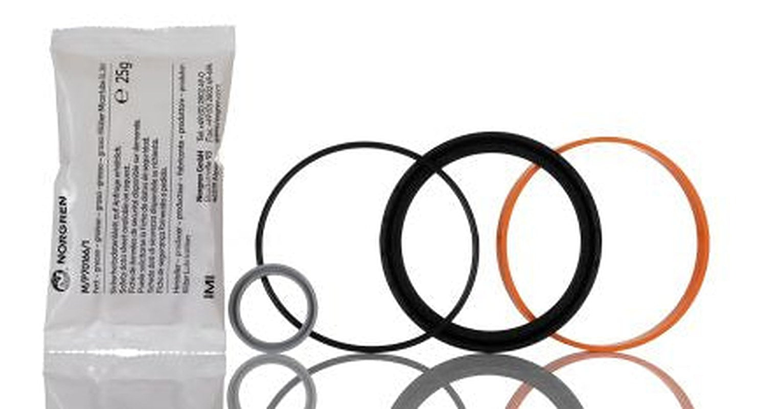 Norgren Service Kit for QM