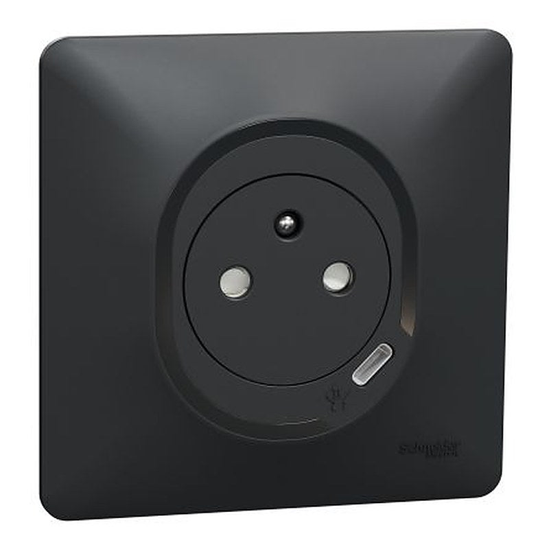 Schneider Electric Anthracite, 1 Gang, Ovalis
