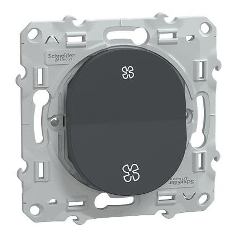 Schneider Electric Anthracite 10A Ovalis C Series