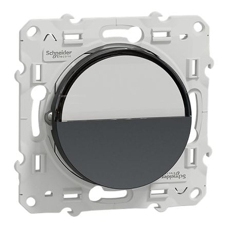 Schneider Electric Odace 2011 Series Push Button Switch, IP21D 250 V ac